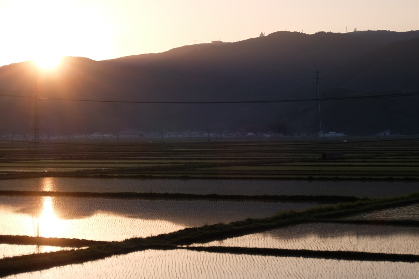 除草剤、まきまき。_a0118120_13422792.jpg