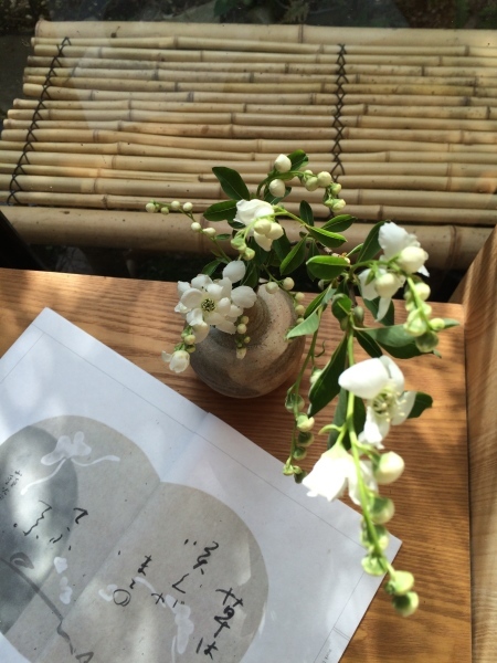 白い花の終わり_a0197730_13090302.jpg
