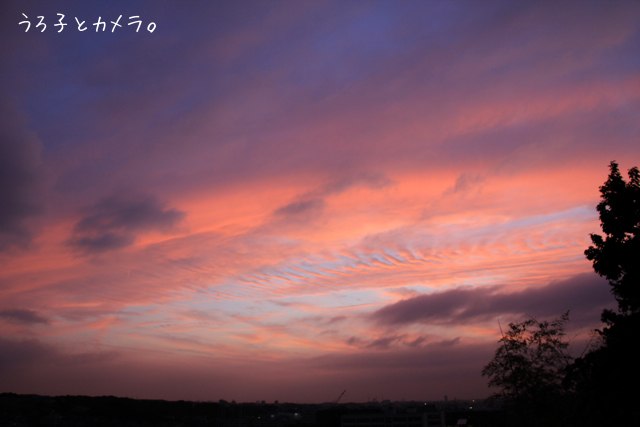 f0348831_22422231.jpg