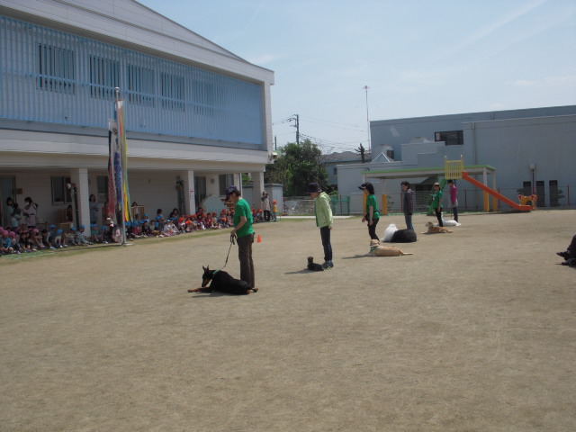 c0114833_13314455.jpg