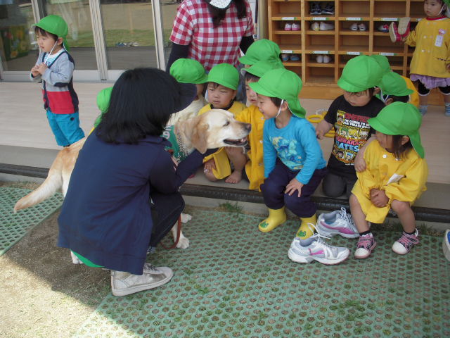 セラピー活動（竜王東保育園）_c0114833_13345531.jpg