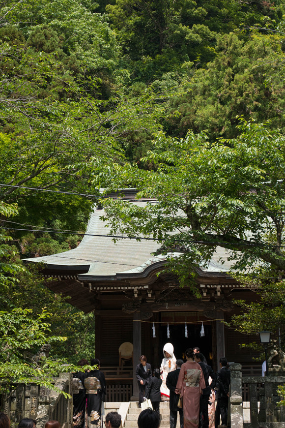 市川さんのフォトセッションに参加しました。2015/5_f0217933_4554192.jpg