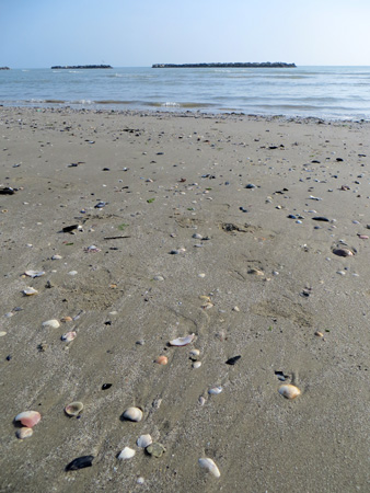 アドリア海の朝の浜_f0234936_4564491.jpg