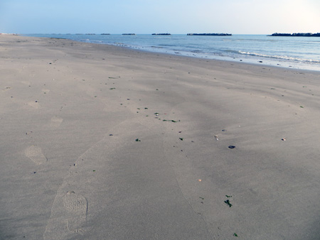 アドリア海の朝の浜_f0234936_4571574.jpg