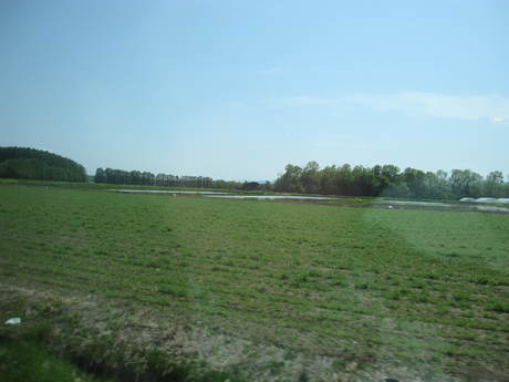 a0279743_1648147.jpg