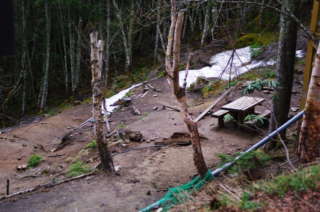 雨の後_c0369344_11405921.jpg
