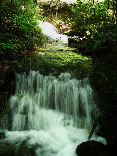 d0048350_1955616.jpg