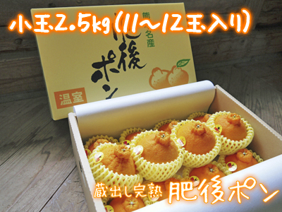 デコポン(肥後ポン) 父の日デコポン予約受付スタート&小玉デコポン新登場!!_a0254656_18552090.jpg
