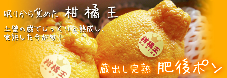 デコポン(肥後ポン) 父の日デコポン予約受付スタート&小玉デコポン新登場!!_a0254656_1941883.jpg