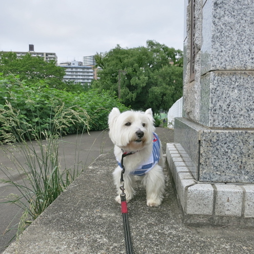 いや〜な季節がやってくるぞっ。_c0260460_16555755.jpg