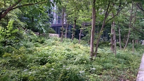 c0100865_06164664.jpg