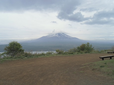 山中湖で富士山と山菜採りを満喫してきた_c0273271_11561994.jpg