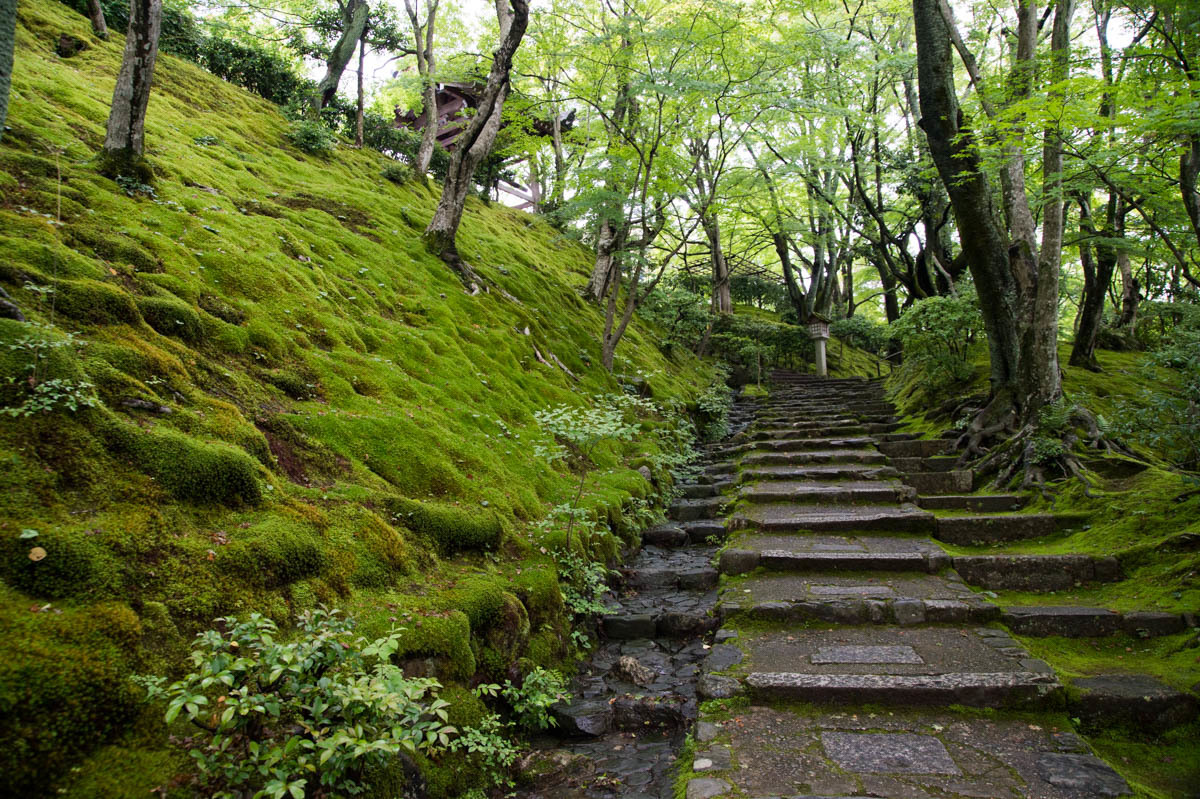 京都嵯峨野　常寂光寺_a0301676_18144159.jpg