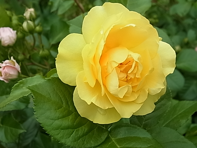 c0209377_17562988.jpg