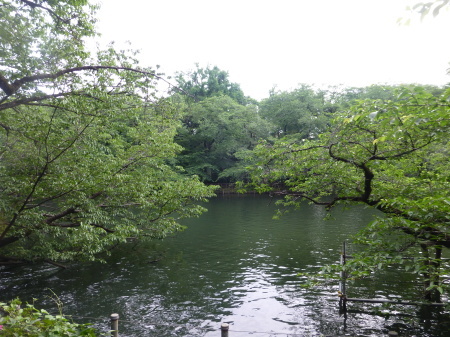 東京都吉祥寺シリーズ　　井の頭公園を散策_b0011584_07292177.jpg