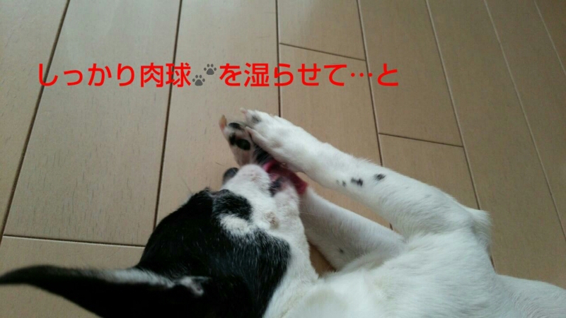 c0109891_21231722.jpg
