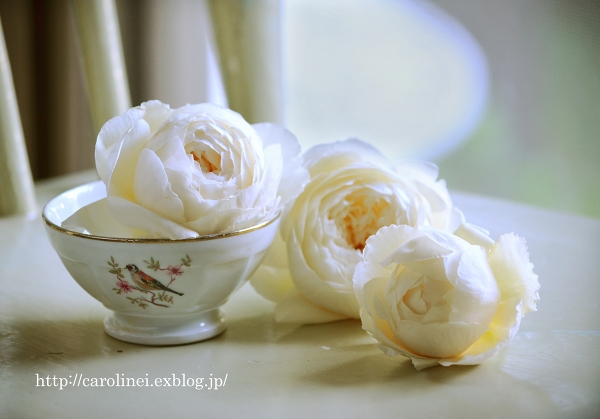 薔薇とアンティークと、モイストポプリ　　My Garden Roses Continually_d0025294_1946046.jpg