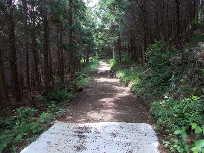 f0308898_8164420.jpg