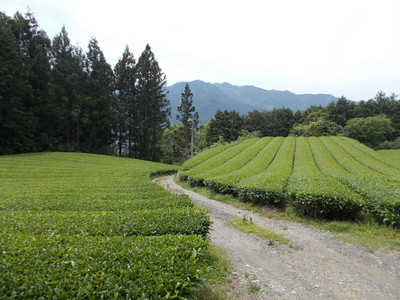 f0308898_817077.jpg
