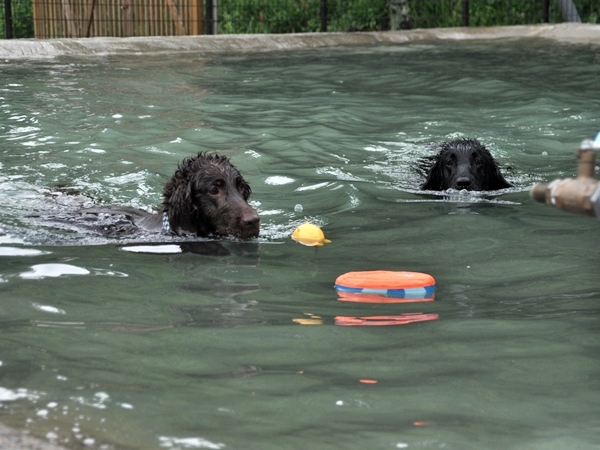 Genki弟クン来訪 ♪_f0176499_14154353.jpg