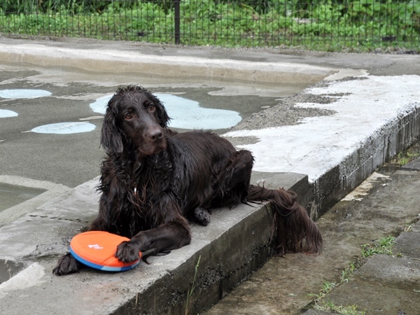 Genki弟クン来訪 ♪_f0176499_14161426.jpg