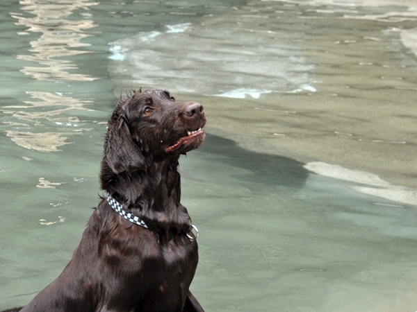 Genki弟クン来訪 ♪_f0176499_14223180.jpg