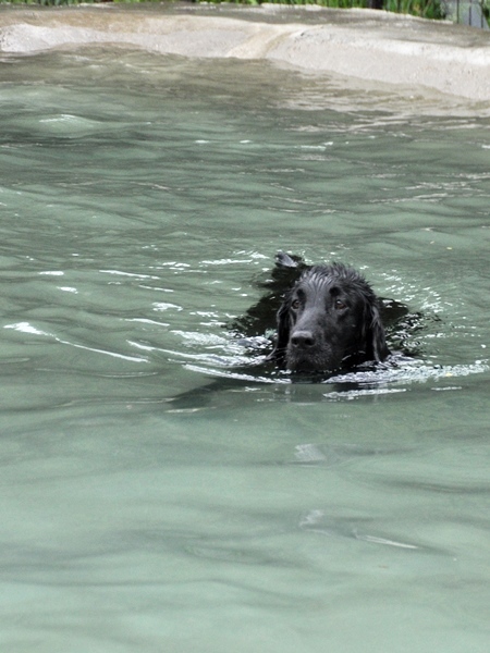 Genki弟クン来訪 ♪_f0176499_14235489.jpg