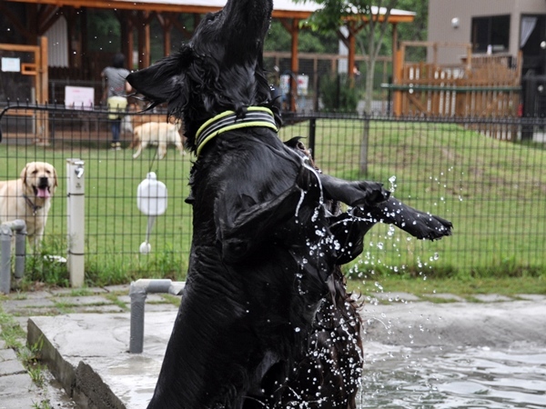 Genki弟クン来訪 ♪_f0176499_14243721.jpg