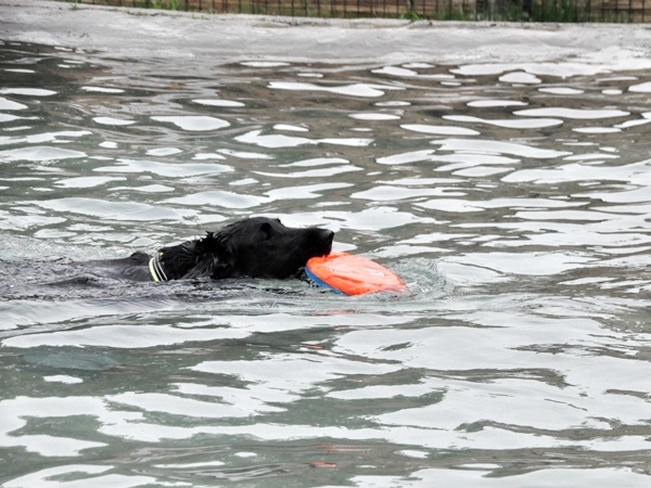 Genki弟クン来訪 ♪_f0176499_14271199.jpg