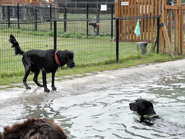 Genki弟クン来訪 ♪_f0176499_14283929.jpg