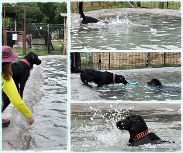 Genki弟クン来訪 ♪_f0176499_14331875.jpg