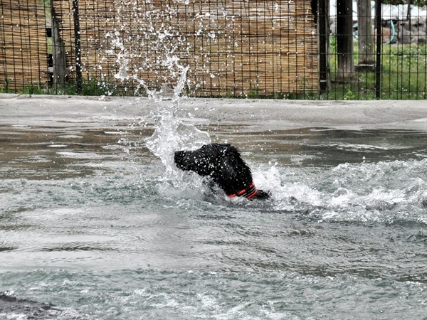 Genki弟クン来訪 ♪_f0176499_14370603.jpg