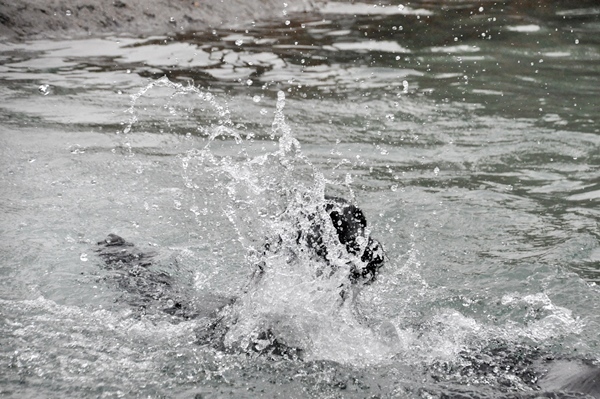 Genki弟クン来訪 ♪_f0176499_14371726.jpg