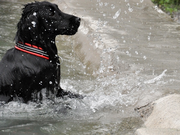 Genki弟クン来訪 ♪_f0176499_14373296.jpg