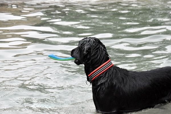 Genki弟クン来訪 ♪_f0176499_14545447.jpg