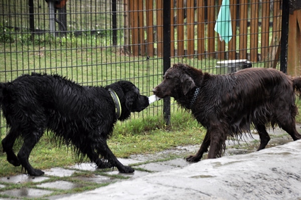 Genki弟クン来訪 ♪_f0176499_14564736.jpg