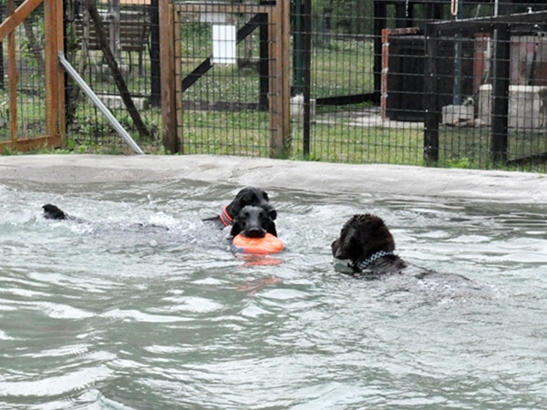 Genki弟クン来訪 ♪_f0176499_15011932.jpg