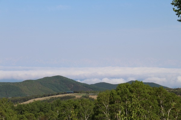 a0320601_21435463.jpg