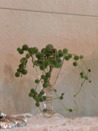 c0152002_10323544.jpg