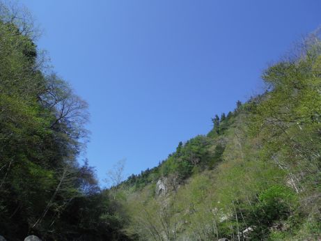 b0172805_91824100.jpg