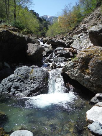 b0172805_9203714.jpg