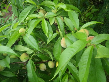 c0280206_65041.jpg