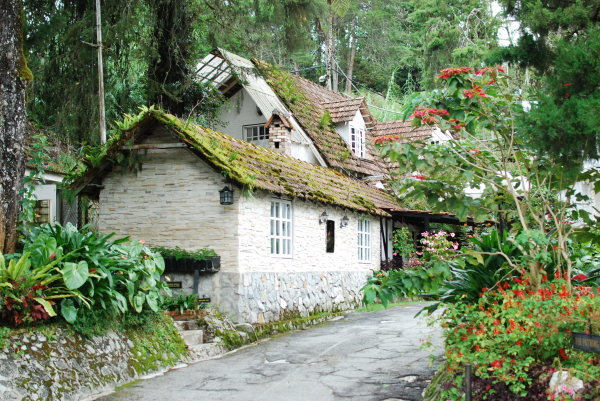 c0182810_20052572.jpg