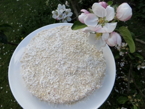 Raw Carrot Cake_d0237913_05504577.jpg