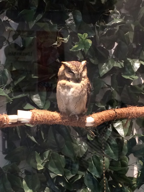 f0274713_11093150.jpeg