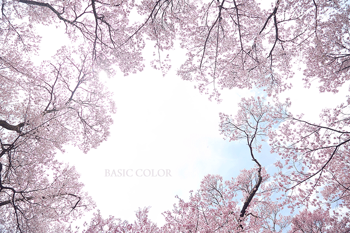 c0345215_15124227.gif