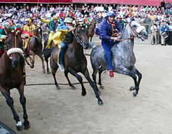 競馬へのあこがれ シエナのパーリオ_b0074416_18322853.jpg