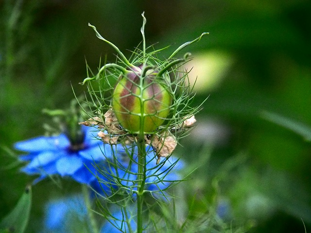 a0087818_20555617.jpg