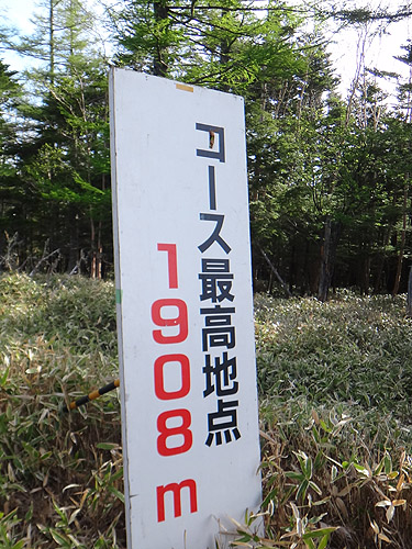2015 野辺山ウルトラ、術後初100km復帰!_e0153022_12591653.jpg