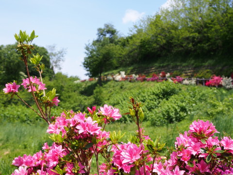 b0147224_21562263.jpg